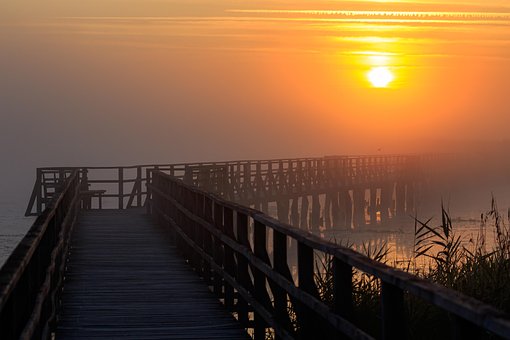 Free Federsee Natural Reserve photo and picture