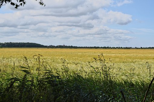 Oost-Friesland, Veld, Hemel, Zomer