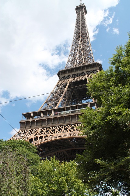 Free Paris France photo and picture