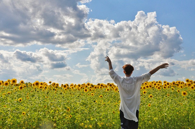 Free Young Woman Field photo and picture