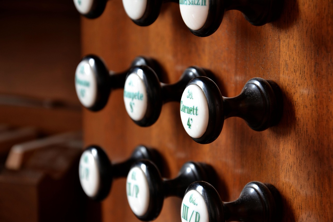 Plus de 300 images de Orgue et de Organe - Pixabay