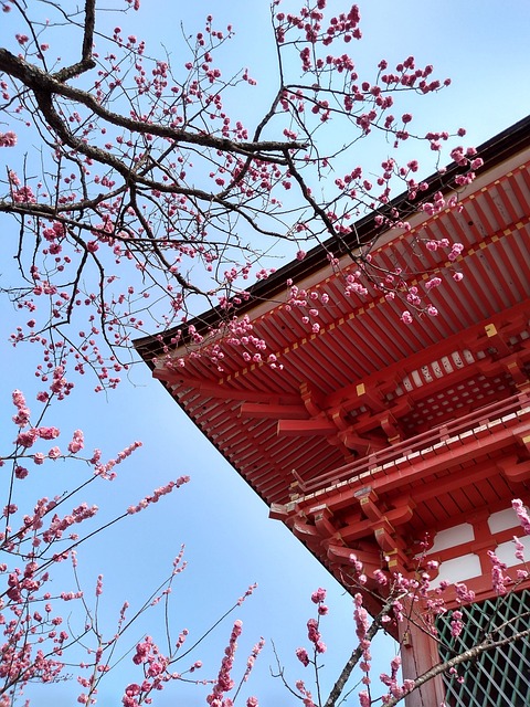 Free Pagoda Temple photo and picture