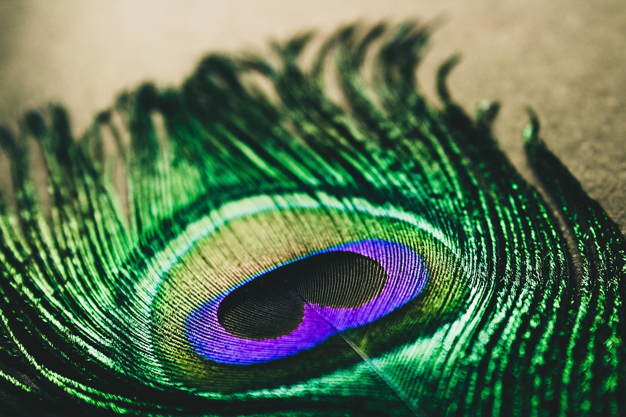 Details 152+ peacock feather wallpaper hd super hot 3tdesign.edu.vn