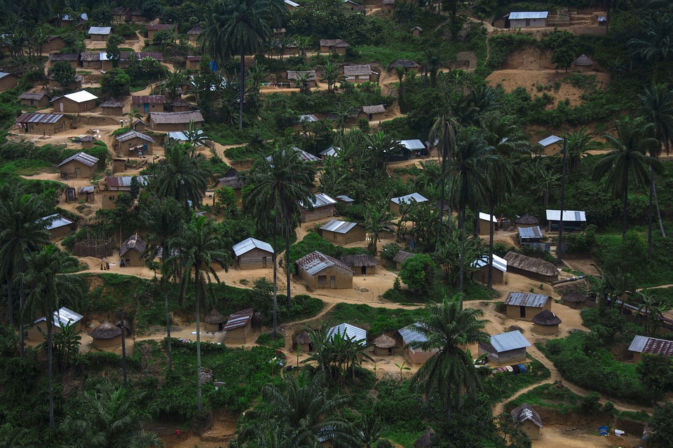 DRC Mystery Disease Identified as Severe Malaria - News Directory 3