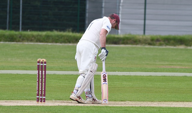 Free Cricket Sport photo and picture