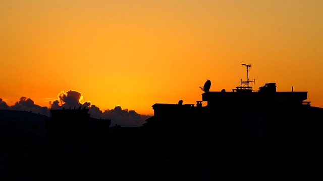 Free Sunset Nature photo and picture