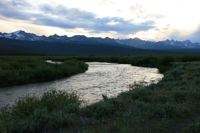 Zalm, Rivier, Idaho