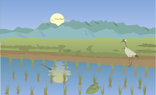 Free Moonlit Rice vector and picture