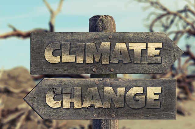 Free climate climate change signpost illustration