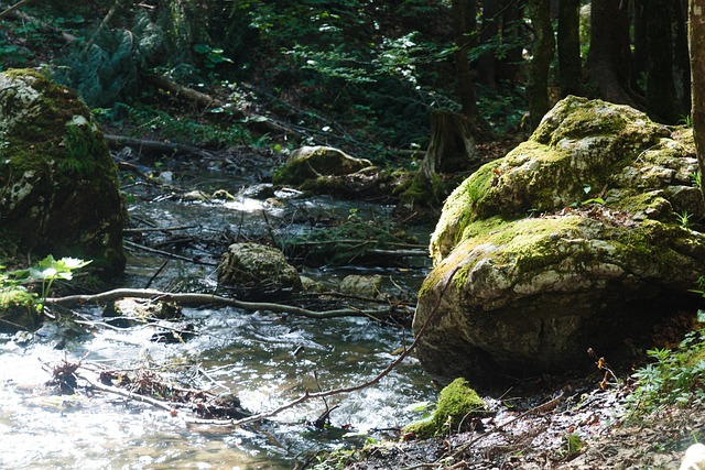 Wasser, Felsen, Fluss, Natur, Steine