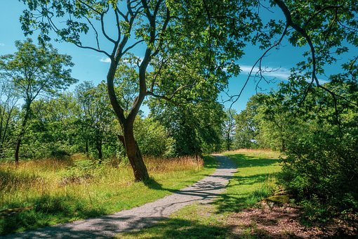 Free The Path Way photo and picture