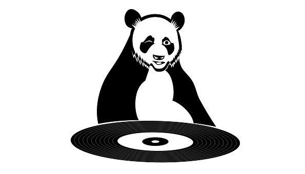 Panda, Dyr, Søt, Natur, Musikk, Vill