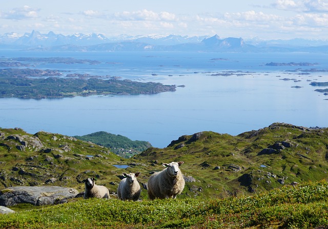 Free Norway Hinnøya photo and picture