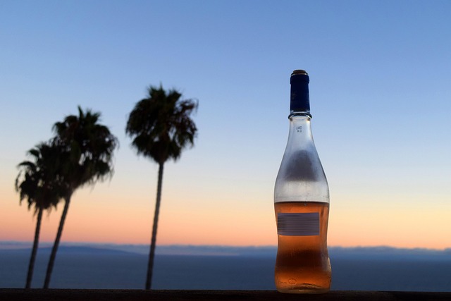 Free Wine Evening photo and picture