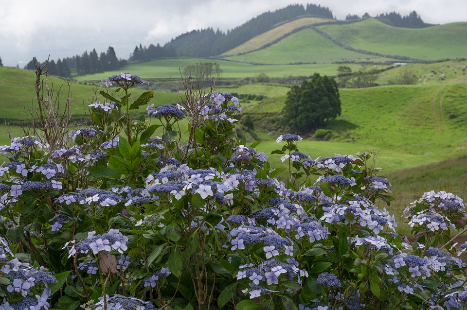 Exploring the Unspoiled Beauty of the Azores: A Sustainable Travel Journey