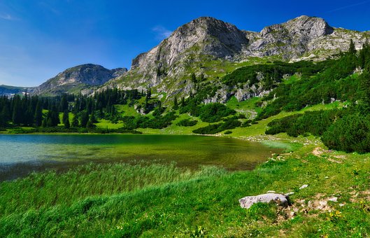 Free Landscape Nature photo and picture