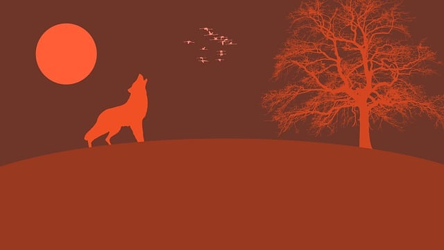 Free wolf tree nature illustration