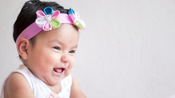 60 Free Baby Rose Flowers Photos