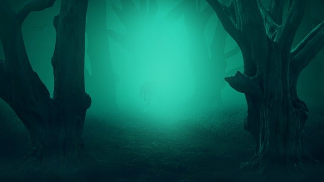 Free forest fog wolf illustration