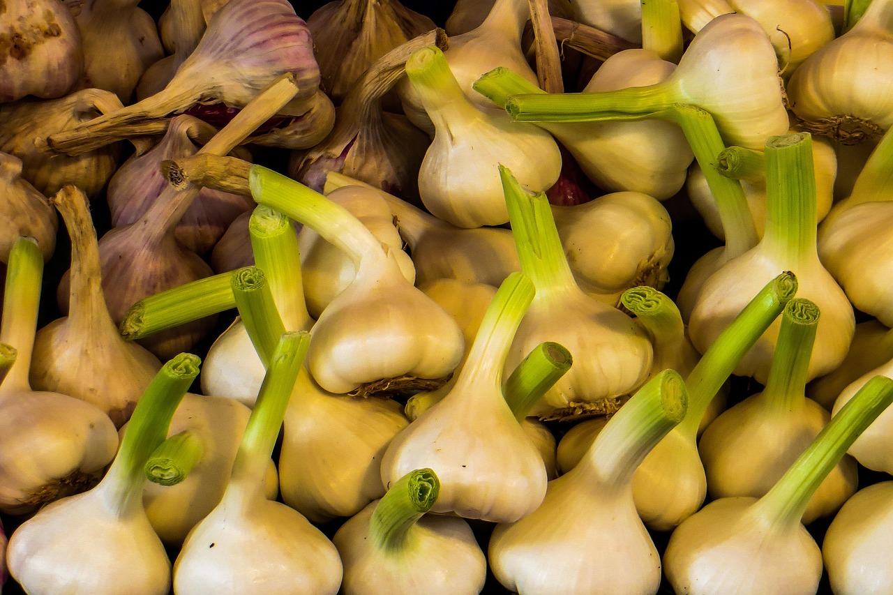 Meal - free online jigsaw puzzle photo