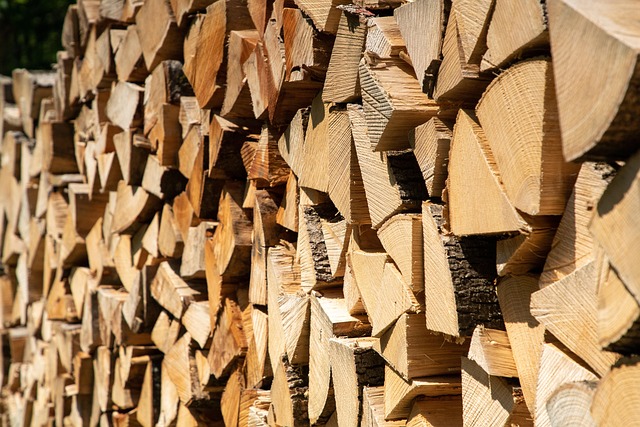 Free Wood Fire photo and picture