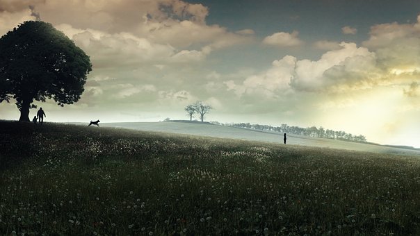 Free Hill Landscape photo and picture