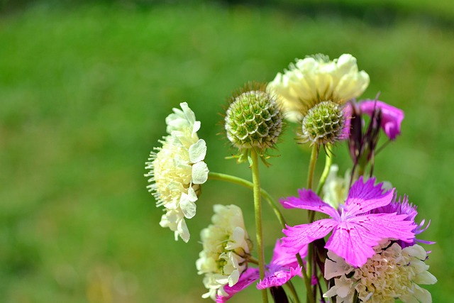 Free Bouquet Flowers photo and picture