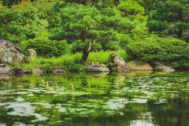 Free Park Green photo and picture