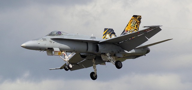 Avion, Aeronave, F 18, Luptător, Militar