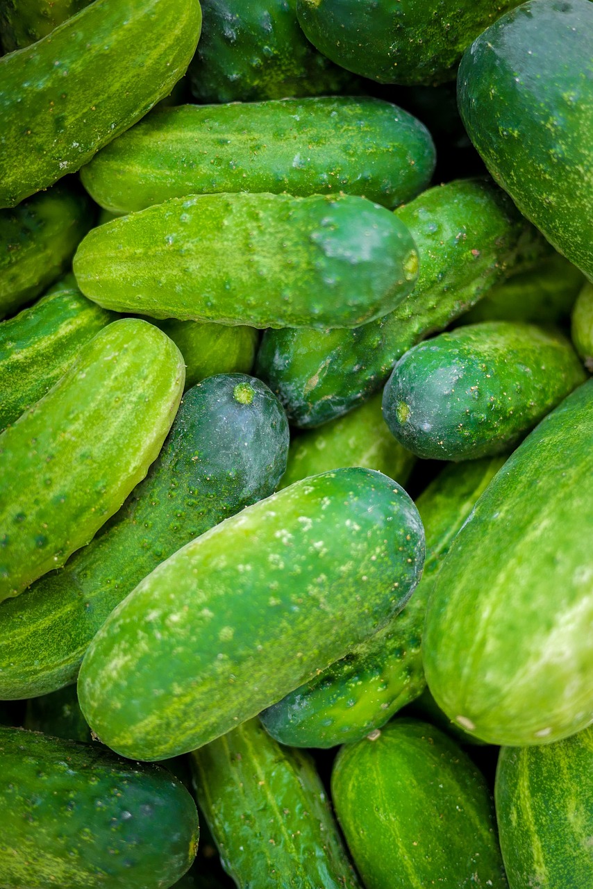 Cucumbers Vegetables Green - Free photo on Pixabay - Pixabay