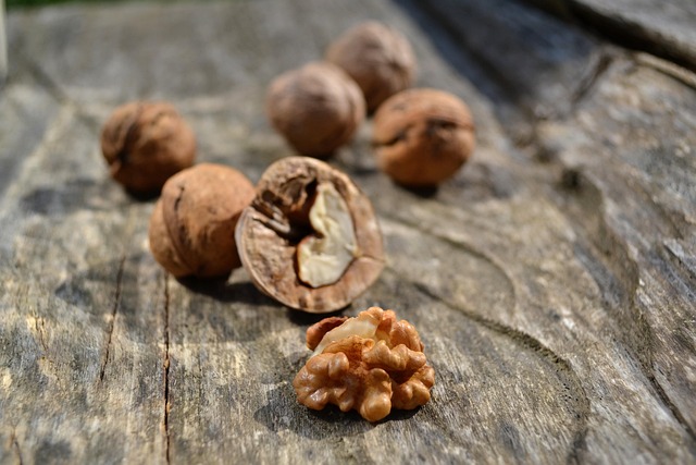 Free Food Nuts photo and picture