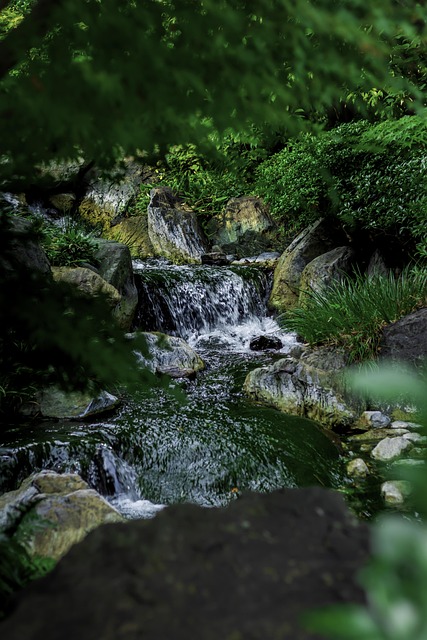 Free Waterfall Park photo and picture