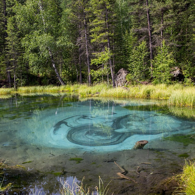 Lake, Geysir, Vulkanische, Landschaft
