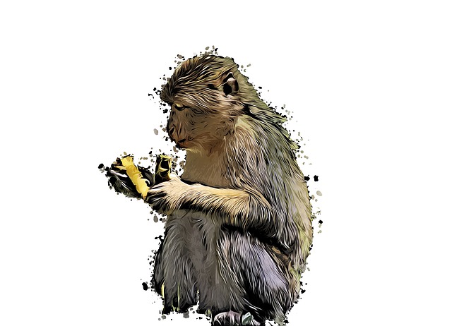 Free barbary macaque animal cartoon illustration