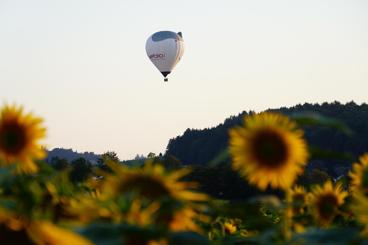 Balloon - free online jigsaw puzzle photo