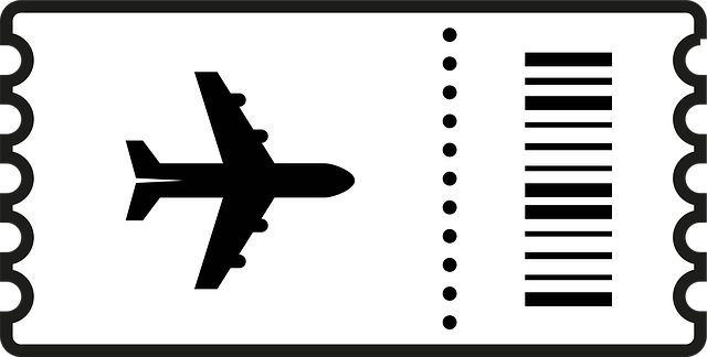 Free Flight Ticket vector and picture