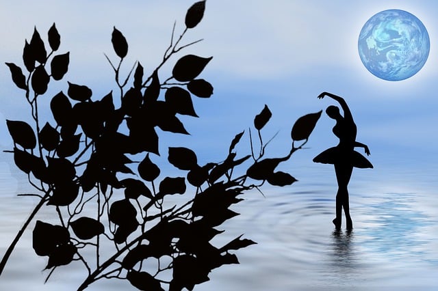 Free nature dancing in the water silhouette illustration