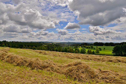 Landscape, Hay, Clouds, Training Course