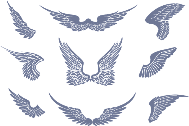 Download Wings, Vector, Design. Royalty-Free Vector Graphic - Pixabay