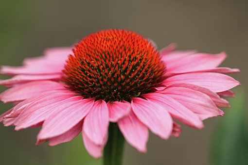 개인회생 4억 총부채액 변제액4