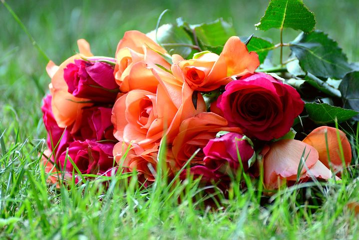 400+ kostenlose Rosenstrauß und Rosen-Bilder - Pixabay