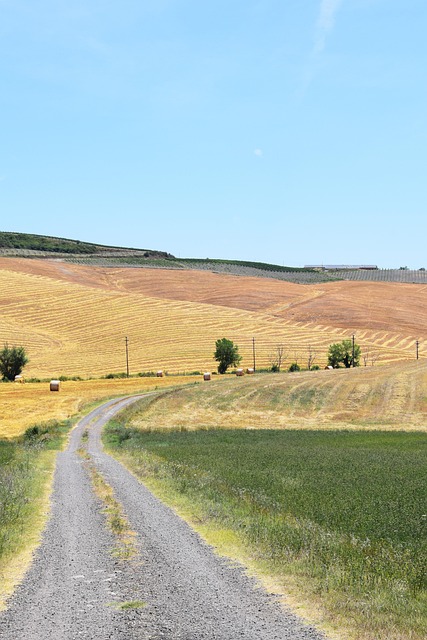 Free Tuscany Fields photo and picture