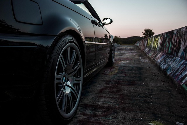 Free Bmw Bridge photo and picture