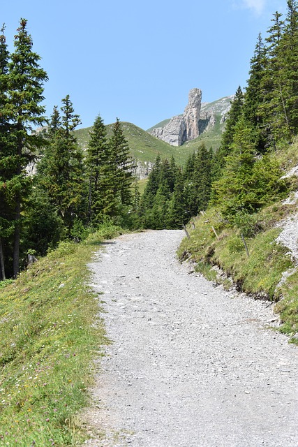 Free Path Mountains photo and picture