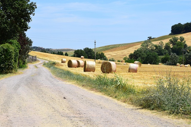 Free Hay Bales Fields photo and picture