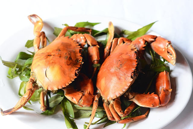 Free Crab Meat Crab Grilled photo and picture
