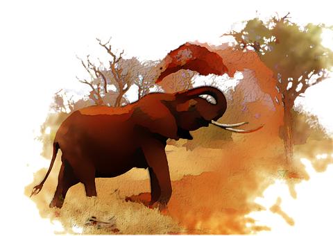 Free Elephant Watercolor illustration and picture