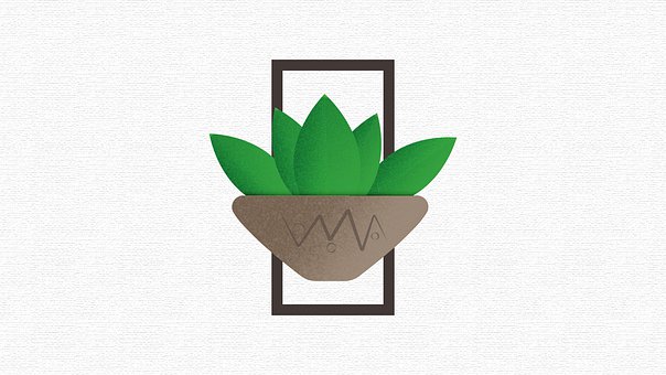 Free Succulent Plant illustration and picture