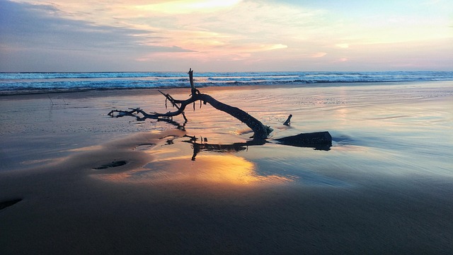 Free Ocean Sunset photo and picture