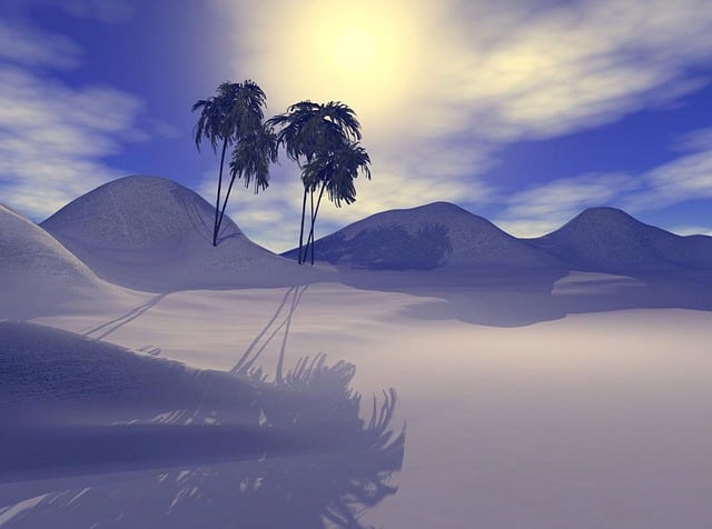 Download free HD stock image of Desert Palm Trees Free desert palm trees nature illustration